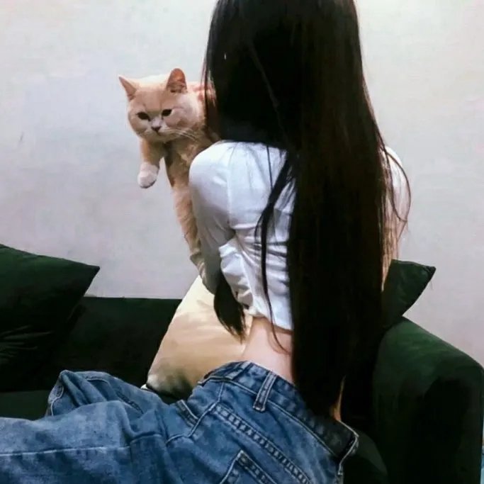 烈女朴氏契约结婚传